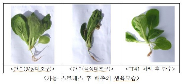 이미지중앙