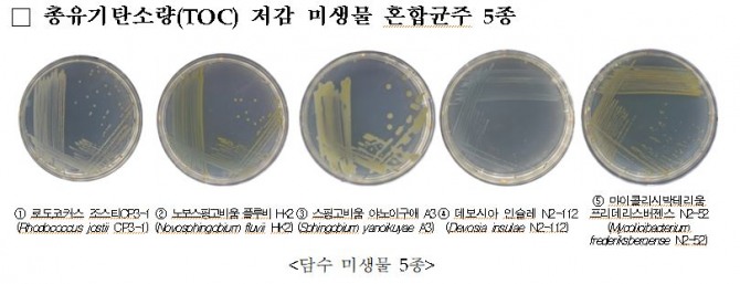 이미지중앙