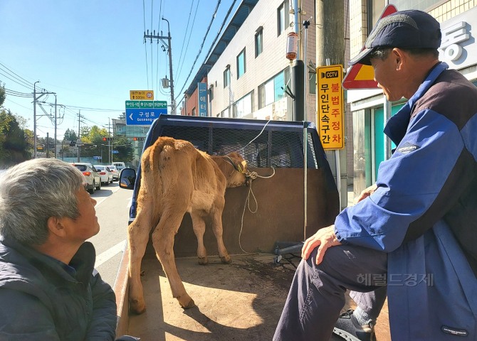 이미지중앙