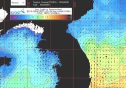'겨울철 독도 인근 해역 표층 온도는 11.9 ℃' 김윤배 박사 측정