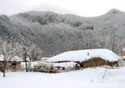 [포토뉴스] 눈으로 뒤덮인 울릉도 나리 투막집