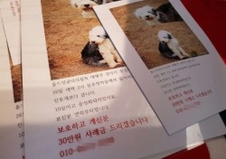 "'실종 반려견' 잡아먹은 주민들 강력처벌하라" 온라인 청원서명 1만 6천명 돌파
