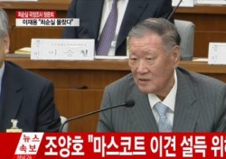 정몽구 "플레이그라운드 광고 외압? 회사 규모 커서 기억나지 않아"