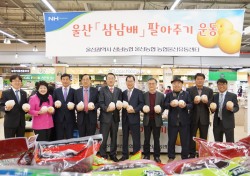 울산농협, 삼남지역 판매활성화 '배 팔아주기 운동'