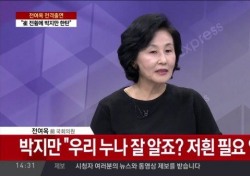 전여옥 "朴대통령 무능, 최순실이 모든걸 챙겨줬기 때문"