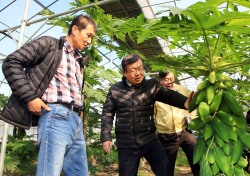 박일호 밀양시장, 농업인 찾아 '발로 뛰는 소통행정' 실현