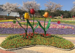 울산대공원, 8일~9일 봄맞이 튤립축제 개막