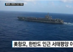북한, 항공모함 칼빈슨호 한반도 향해도...김일성 탄신일 마라톤 대회 ‘강행’
