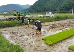 울산농협-울산지방경찰청, 영농철 농촌봉사활동 앞장