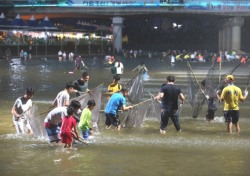 여름방학 생태체험은 봉화은어축제로 오세요