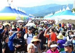 힐링의 도시 영주의 가을은 축제로 물들다