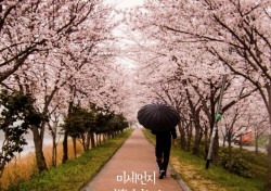 트리탑스, 봄 시즌송 달콤함 깬다...“미세먼지에 벚꽃이라니”