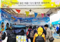 봉화군, 서울 k-festival 축제박람회서 봉화은어축제 홍보주력