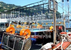 울릉도 오징어 어획량 사상 ‘최악’ 생계유지대책마련 고심