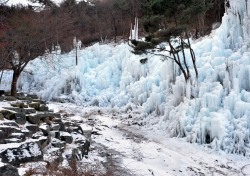 달성군시설관리공단, 비슬산자연휴양림 얼음동산 운영