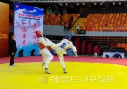 고령군 태권도협회, 中 마안산시 5개국 태권도 대회 참가...겨루기 부문 우승
