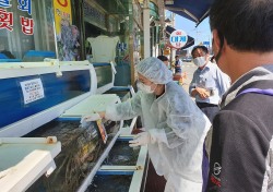 포항 명물 물회, 안심하고 드세요…식중독 유발 세균 유무 점검나서