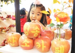 청송군, 제16회 청송사과축제 준비 '착착'