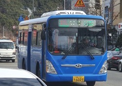 봉화군, 송이축제기간 30일부터 버스노선 변경운행…영주 봉화 간 33번 시내버스 노선변경