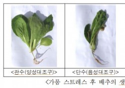 국립낙동강생물자원관, 식물 가뭄 내성 키우는 담수미생물 소재 발견