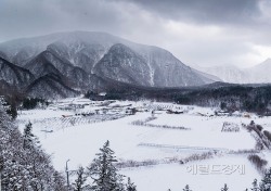 삿포로 눈 축제 부럽지 않은 16년만에 돌아온 울릉도 눈축제…내년 2월3일개막