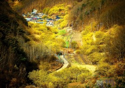 ‘산수유마을’2022의성관광 사진·영상 공모전 대상