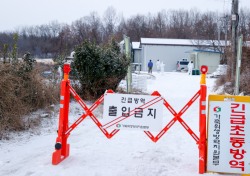 경북 성주 산란계 농장서 고병원성 AI 확진