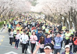 '경주 벚꽃마라톤대회' 4년만에 개최…오는 4월 1일 보문단지 일원서