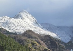 [포토뉴스]우산국 옛 도읍지 상고대 장관