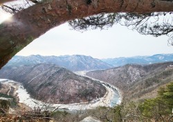 경북봉화 범바위 전망대 꼬리 잘린 호랑이상 방치 ‘눈살“