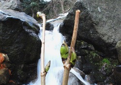 [포토뉴스]오늘 우수(雨水) …봄 오는 소리