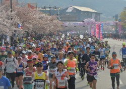 경주벚꽃마라톤대회, 4년만의 정상개최 '참가 열기 후끈'