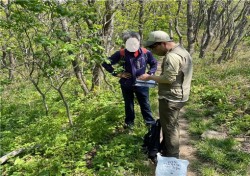 소백산국립공원 내 봄철 임산물 불법채취 단속나서…최대 200만원 과태료 부과