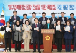 대구시의회, 대구경북통합신공항 특별법 국회 통과 '환영'