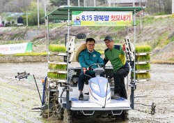 영주서 '곡우(穀雨)날' 풍년 농사 기원하며 올해 첫 모내기 시작…추석전후 수확