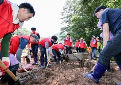 경북도의회 사무처, 집중호우 피해 복구 '구슬땀'