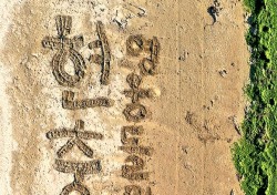 서예 퍼포먼스 대가 쌍산 김동욱 , 포항송도 해변 모래바닥에 현충일 기념 퍼포먼스 진행