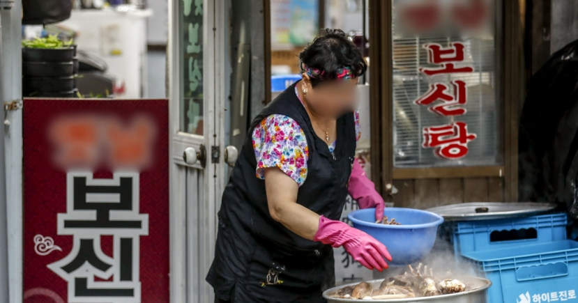 Ministry launches special team to end dog meat consumption by 2027
