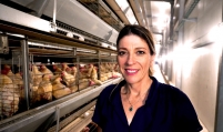 Israeli startup aims to end chick culling