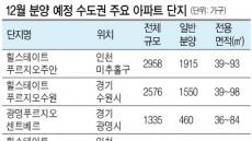 [달아오르는 연말 부동산]“수도권行 막차 타자” …연말 분양시장 ‘후끈’