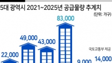 5대 광역시에 22만가구…지방도 약발 먹힐까 [2·4 주택공급대책 후폭풍]