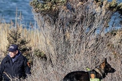 Three bodies found on New York beach