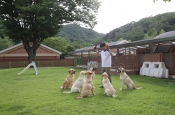 History of guide dogs for the blind