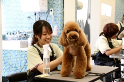 [Weekender] Burgeoning Korean pet industry going ever more premium