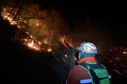 Forest fire in Jeongseon contained, no casualties reported