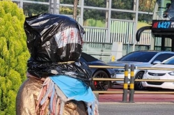 Man puts plastic bag over face of comfort women statue