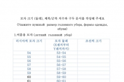 Russia prepares Korean-language questionnaire for N. Korean soldiers: CNN