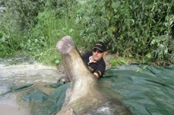 ‘괴물 물고기’ 무게는… 무려 127kg
