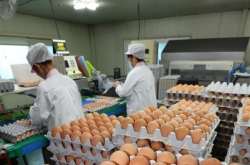 Koreans react to pesticide-tainted eggs