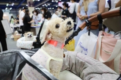 Korea to consider animals not ‘things’